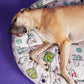 Scooby-Doo x Pupnaps Calming Pet Bed